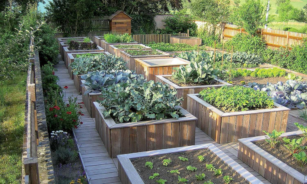 Идеи для сада и огорода: интересные примеры ландшафтного дизайна для дачи